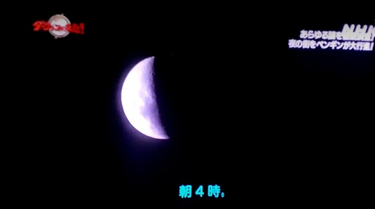 NHKダーウィンの月の画像